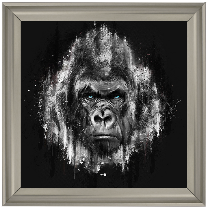 AN424 Black & White Gorilla Watercolour