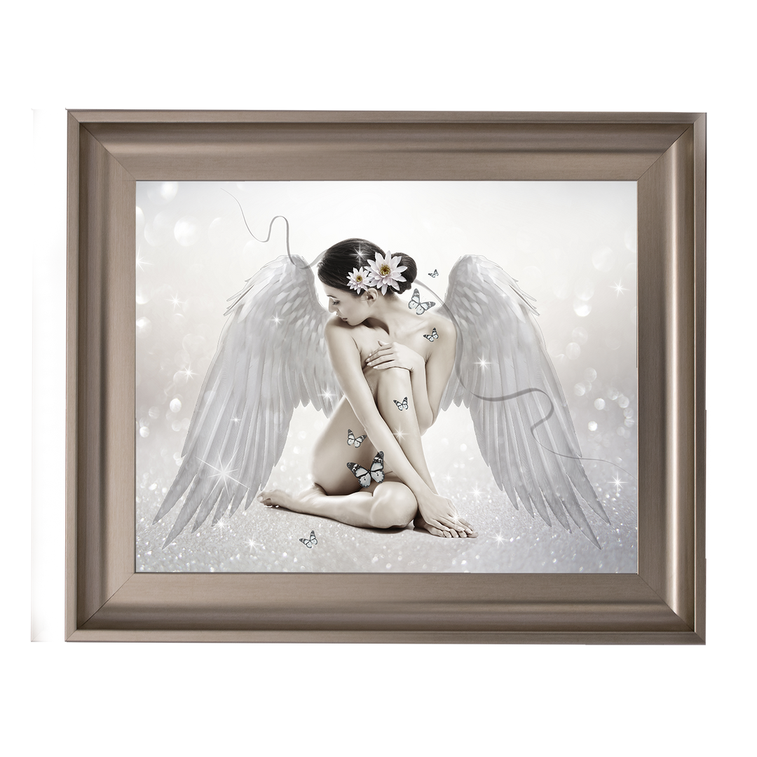FG020 Angel & Butterflies