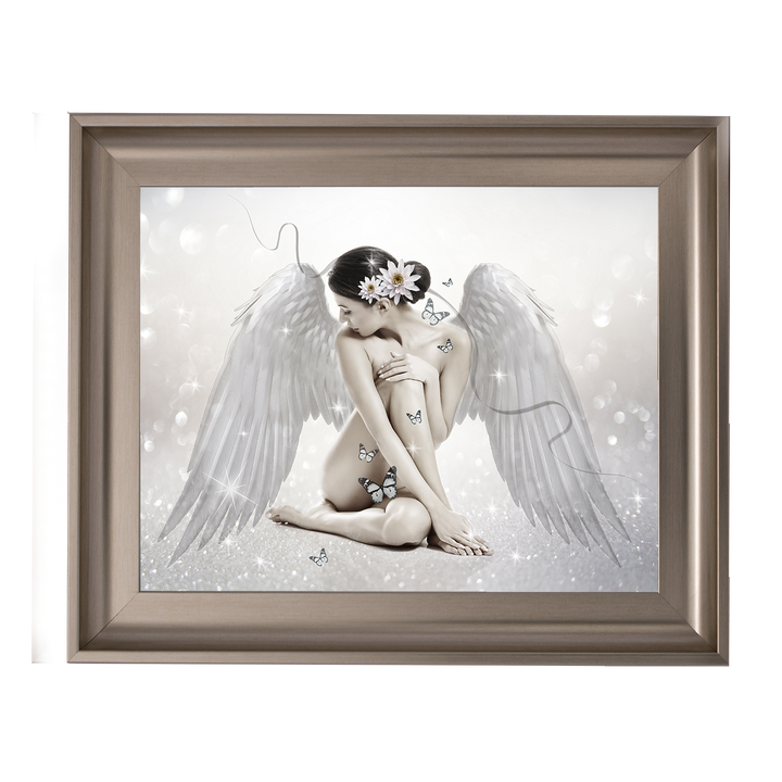 FG020 Angel & Butterflies