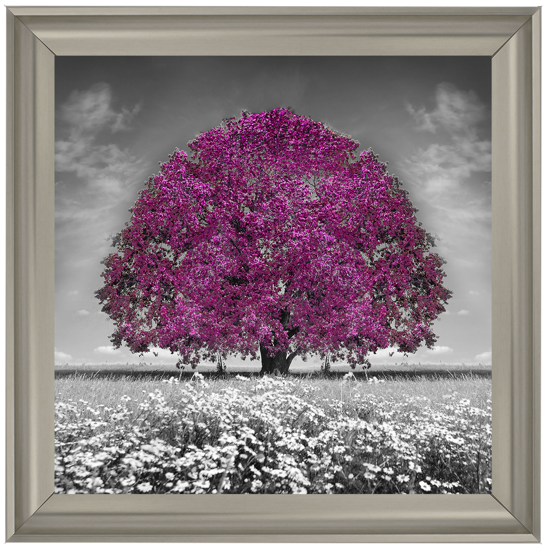 LS271 Purple Oak Tree