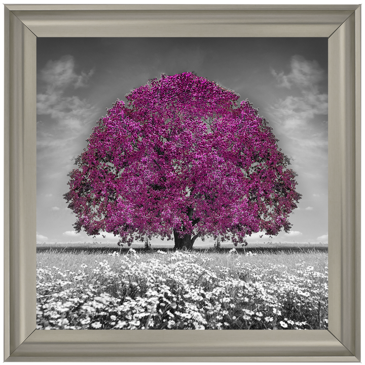 LS271 Purple Oak Tree