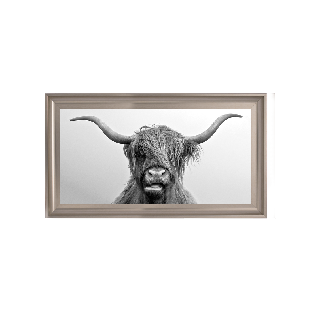 AN280 Highland Cow I
