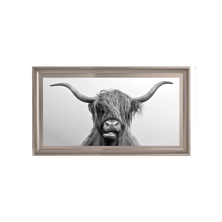 AN280 Highland Cow I