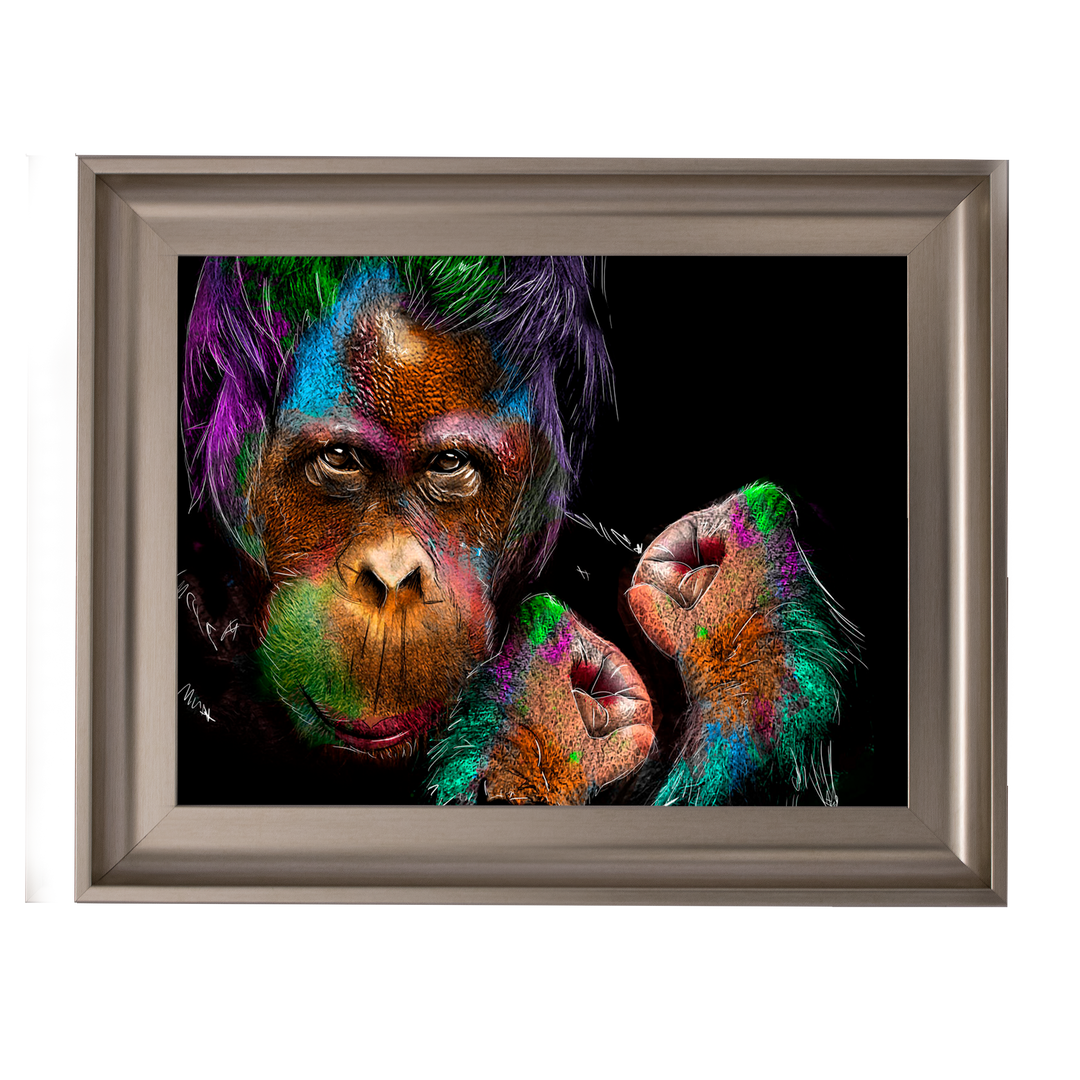 Orangutan