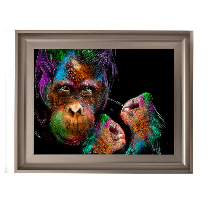 Orangutan