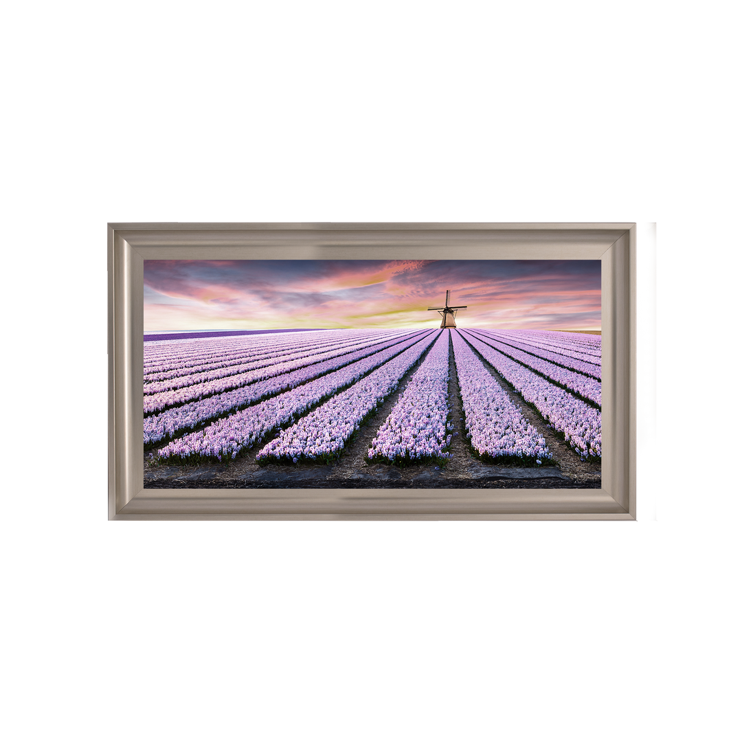 Purple Field