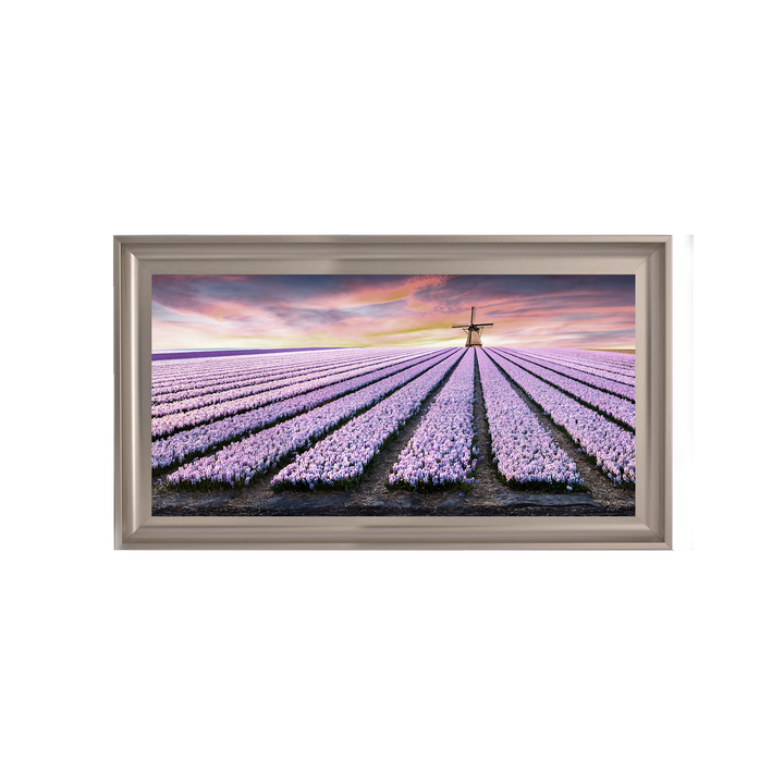 Purple Field