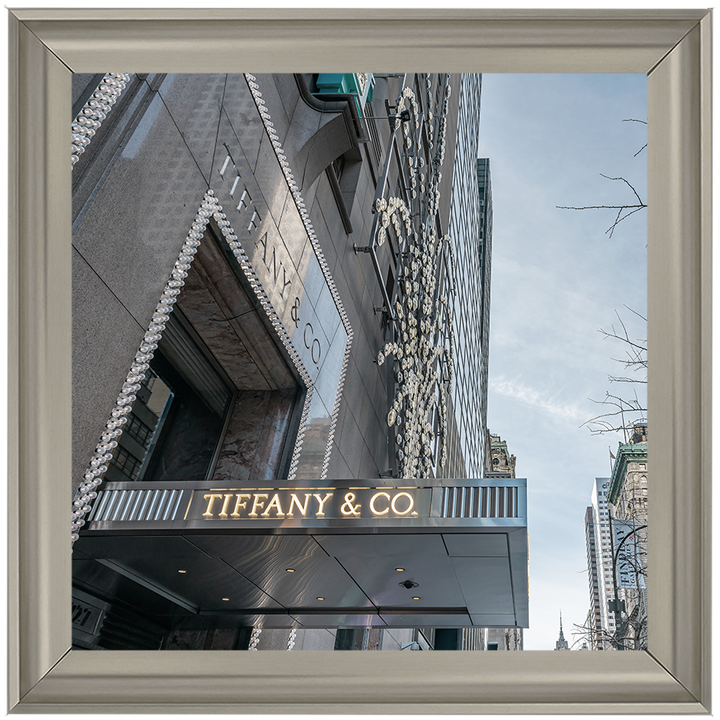 Store Front XV