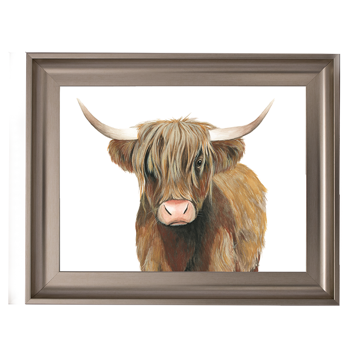 AN009 Highland Cattle II