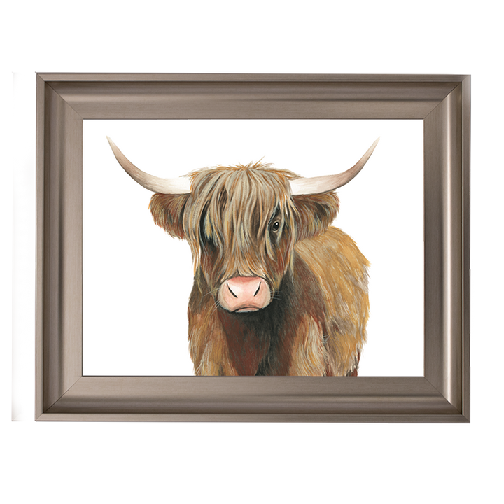 AN009 Highland Cattle II