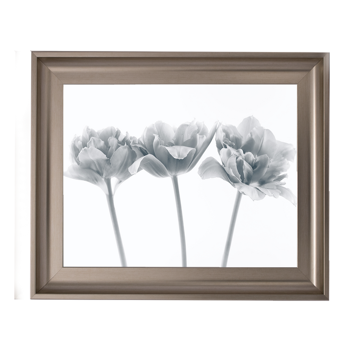 Set of 3 flowers II