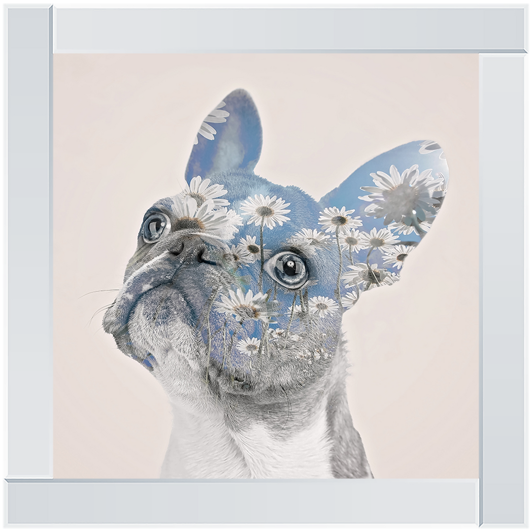 AN310 Daisy dreaming