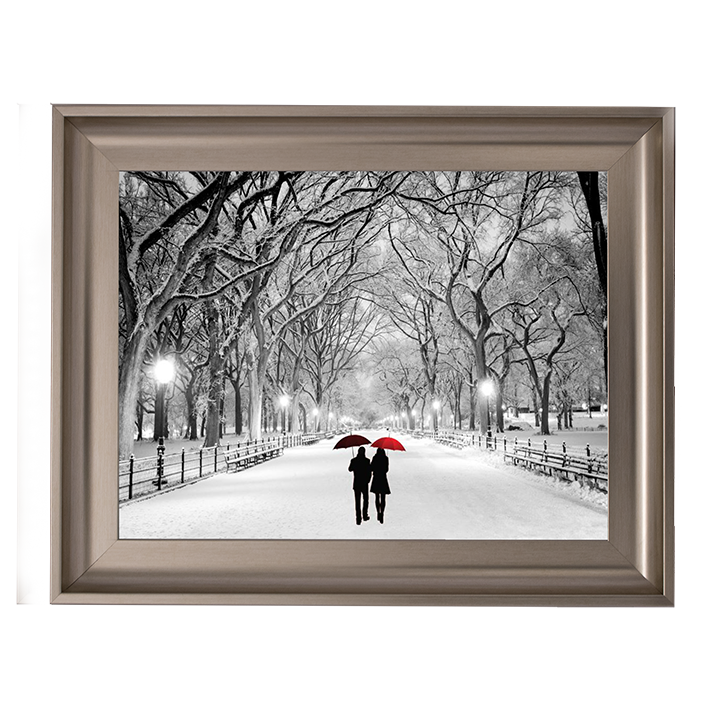 Walk through the snowy park