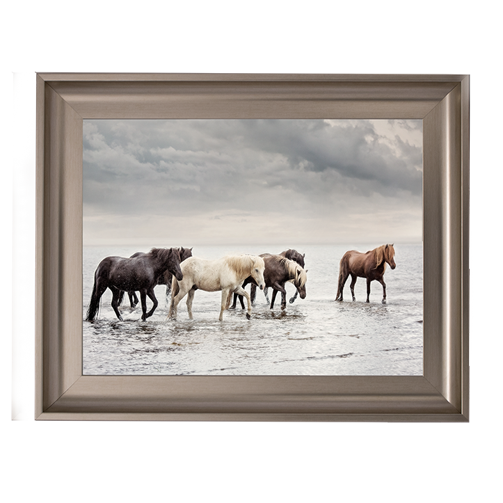 Water Horses IV