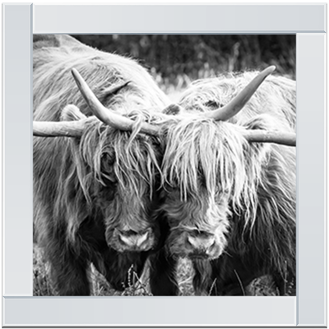 AN282 Highland Cow Love