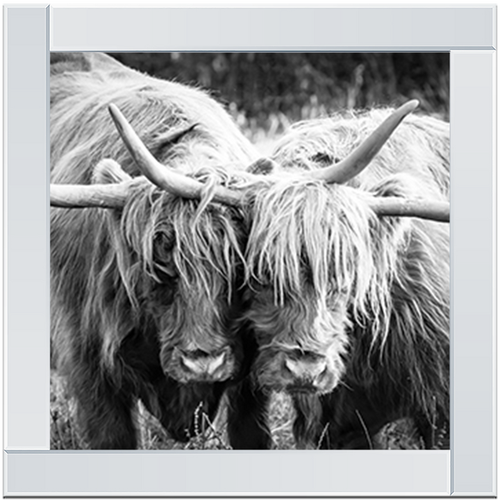 AN282 Highland Cow Love