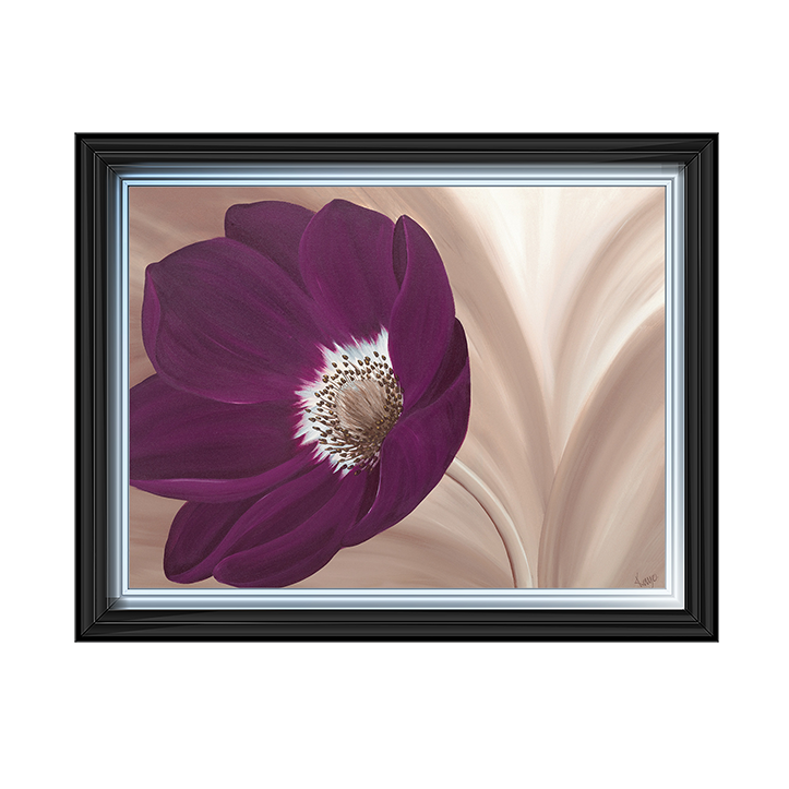 Velvet Anemone