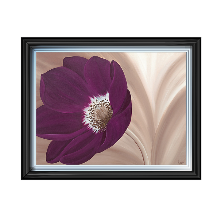 Velvet Anemone