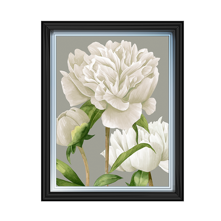 White Peonies II