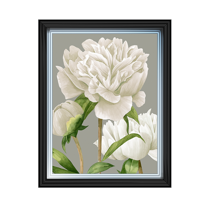 White Peonies II