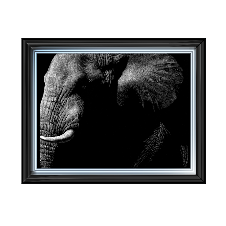 AN026 Wildlife Scratchboards III