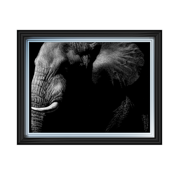 AN026 Wildlife Scratchboards III