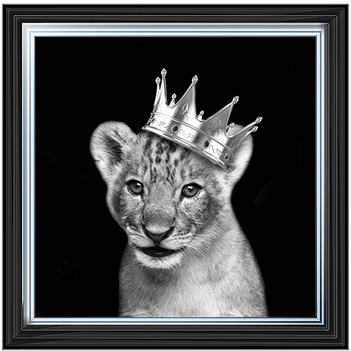 Prince Cub Silver