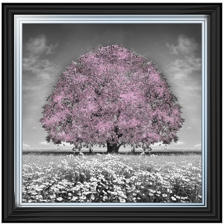LS275 Pink Oak Tree