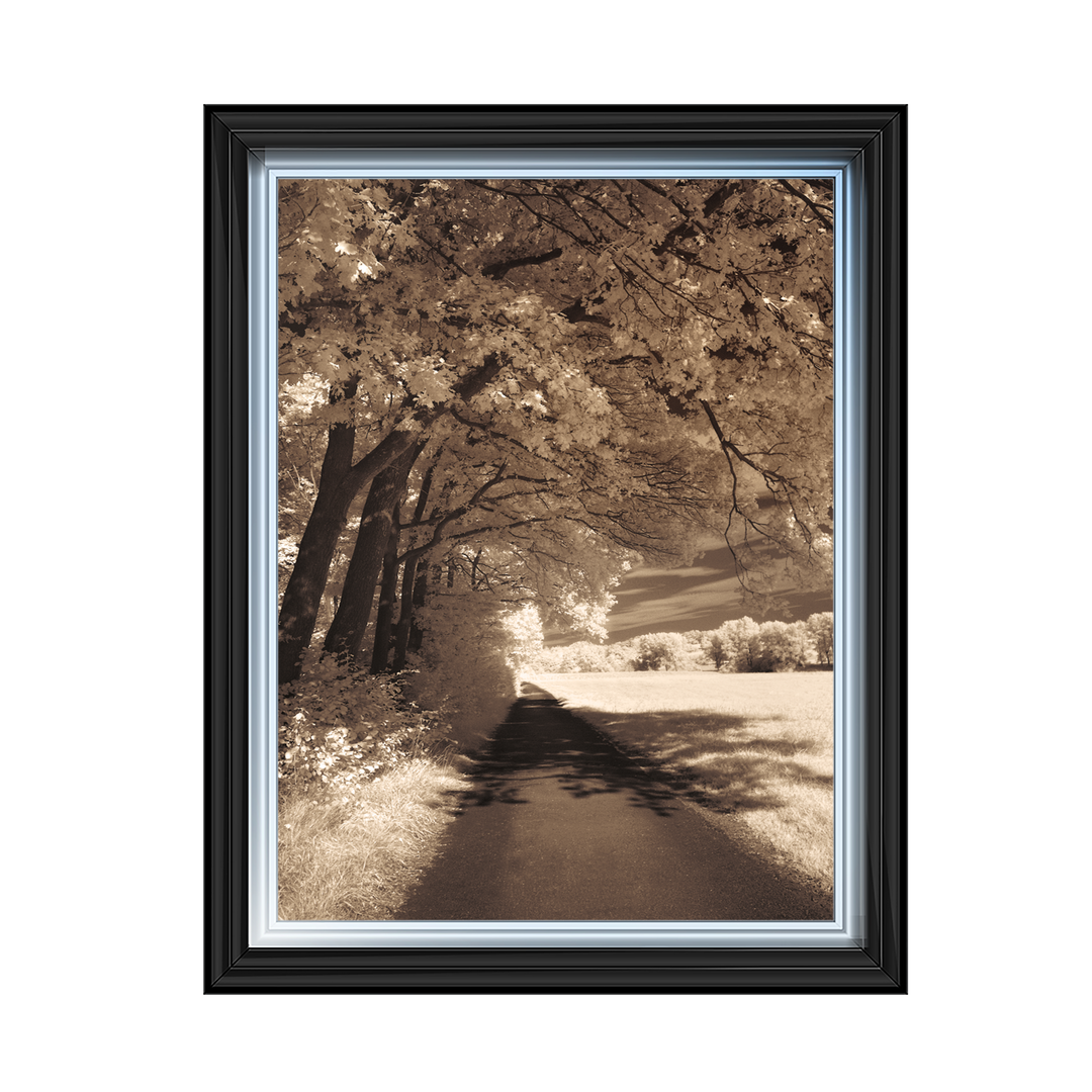 The Path Ahead