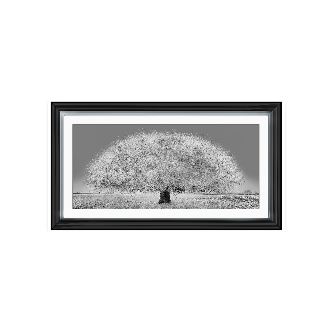 LS205 Black and white tree