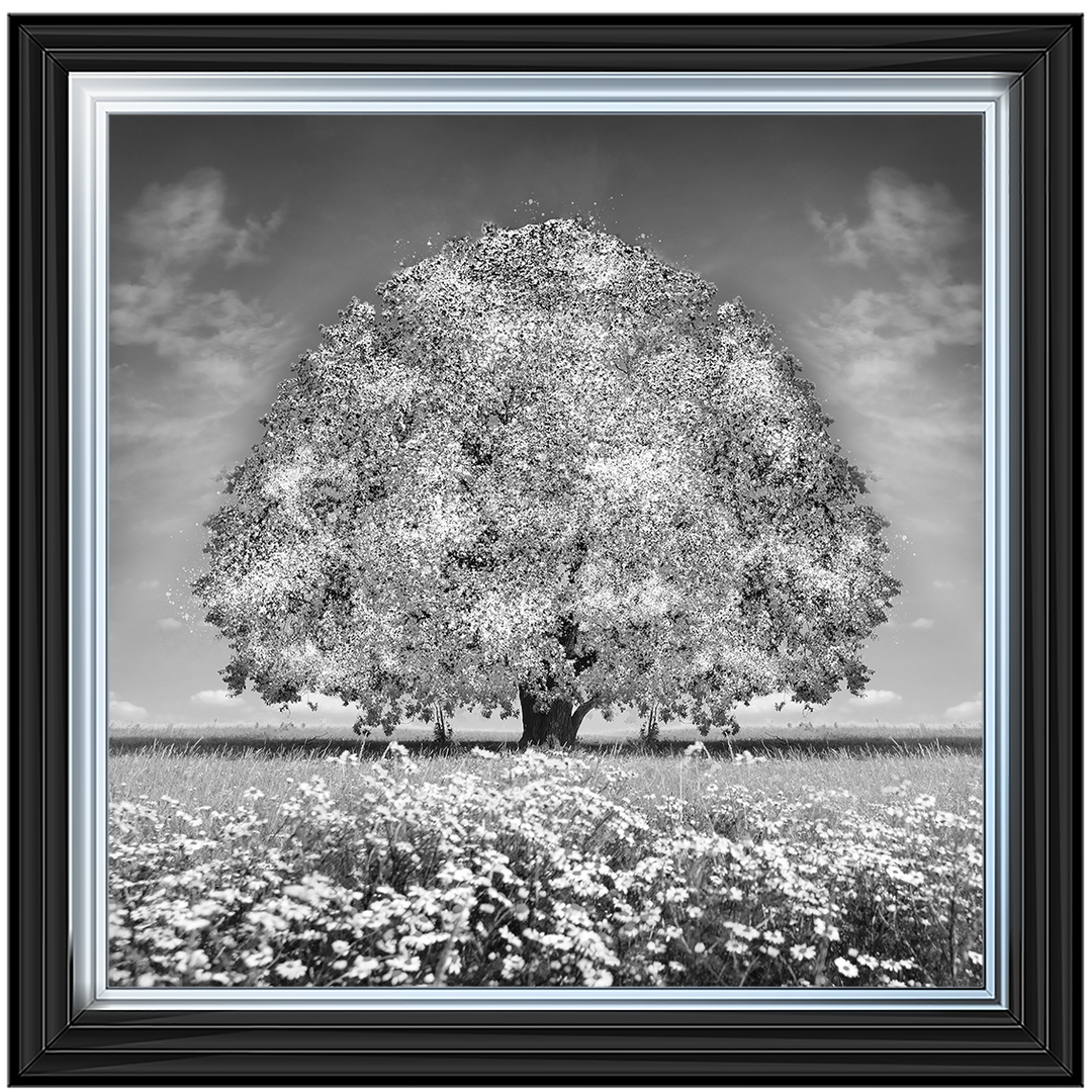 LS276 White Oak Tree