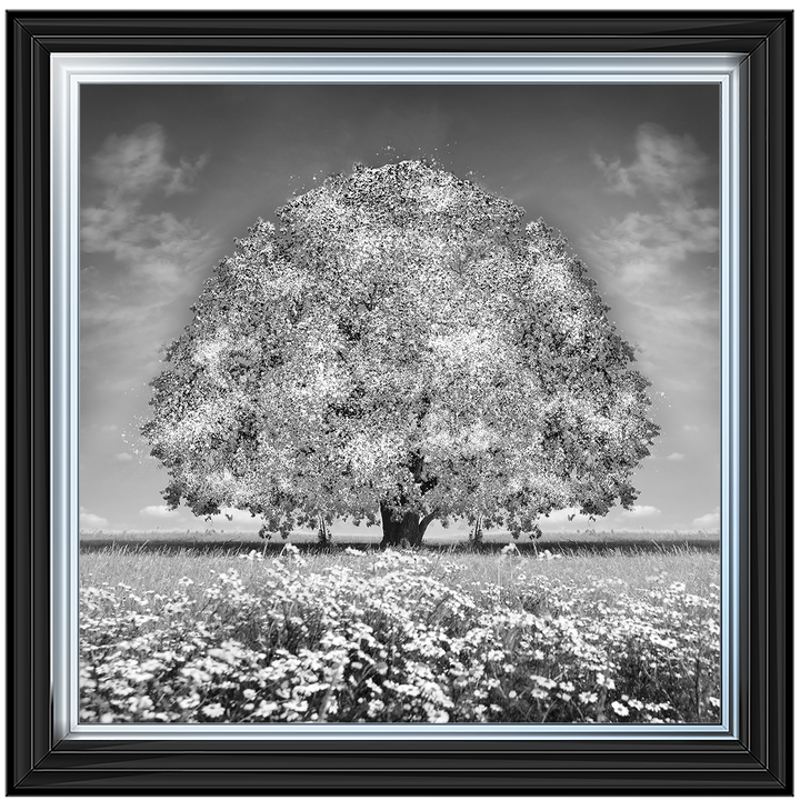 LS276 White Oak Tree