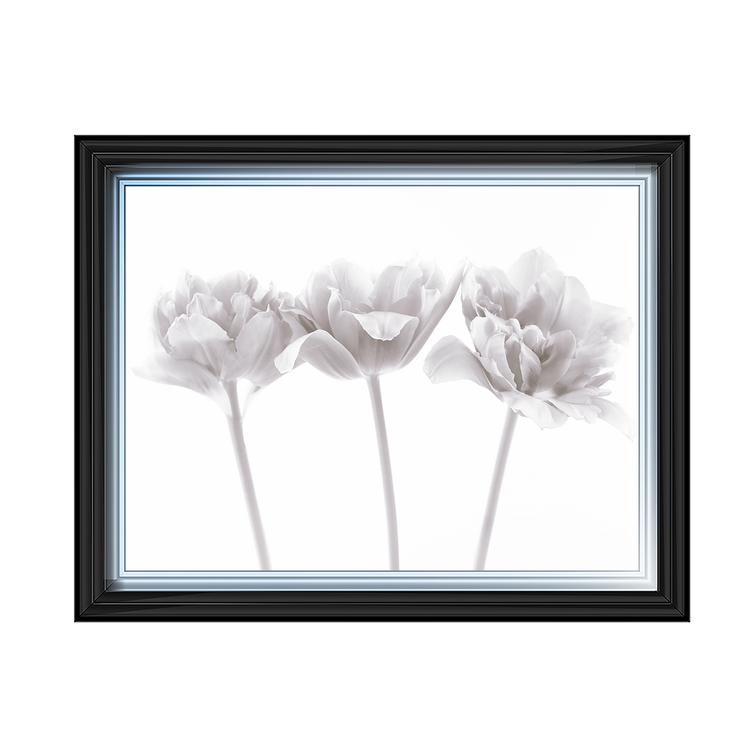 Set of 3 flowers