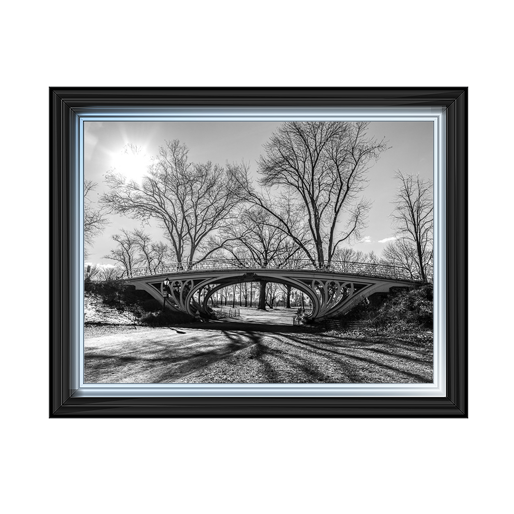 Walkway bridge in Central park, New York