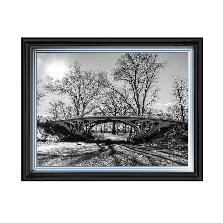 Walkway bridge in Central park, New York