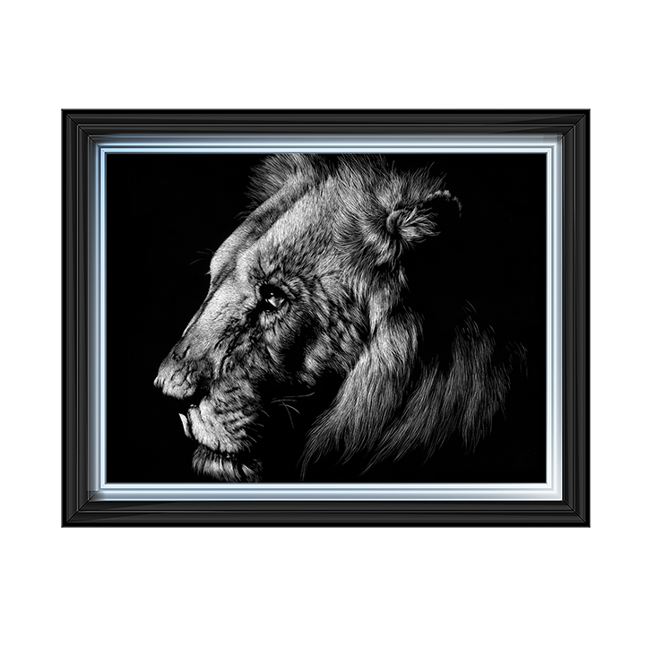 AN025 Wildlife Scratchboards I