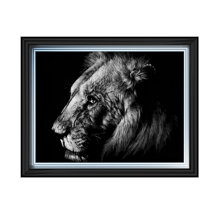 AN025 Wildlife Scratchboards I