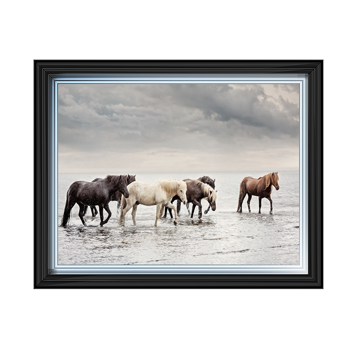 Water Horses IV