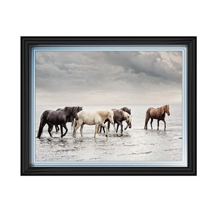 Water Horses IV