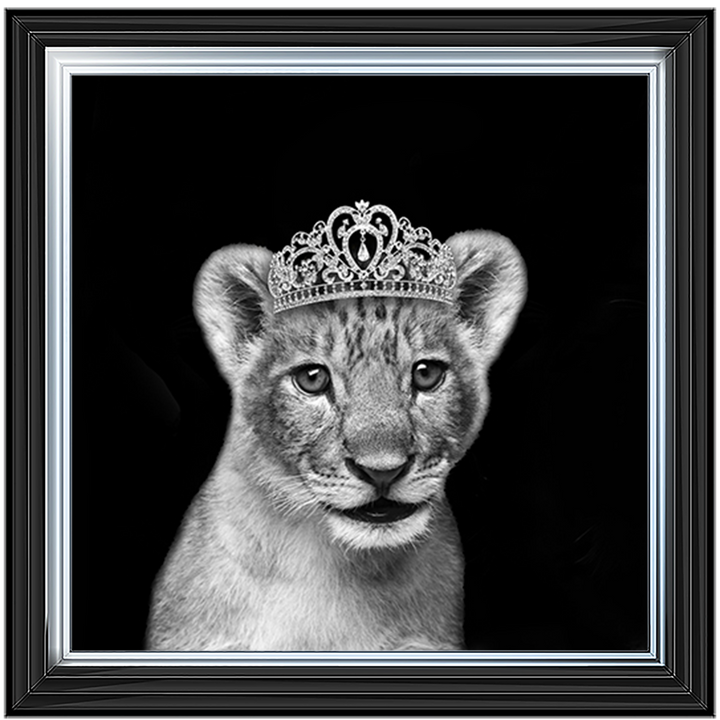 Princess Cub Silver