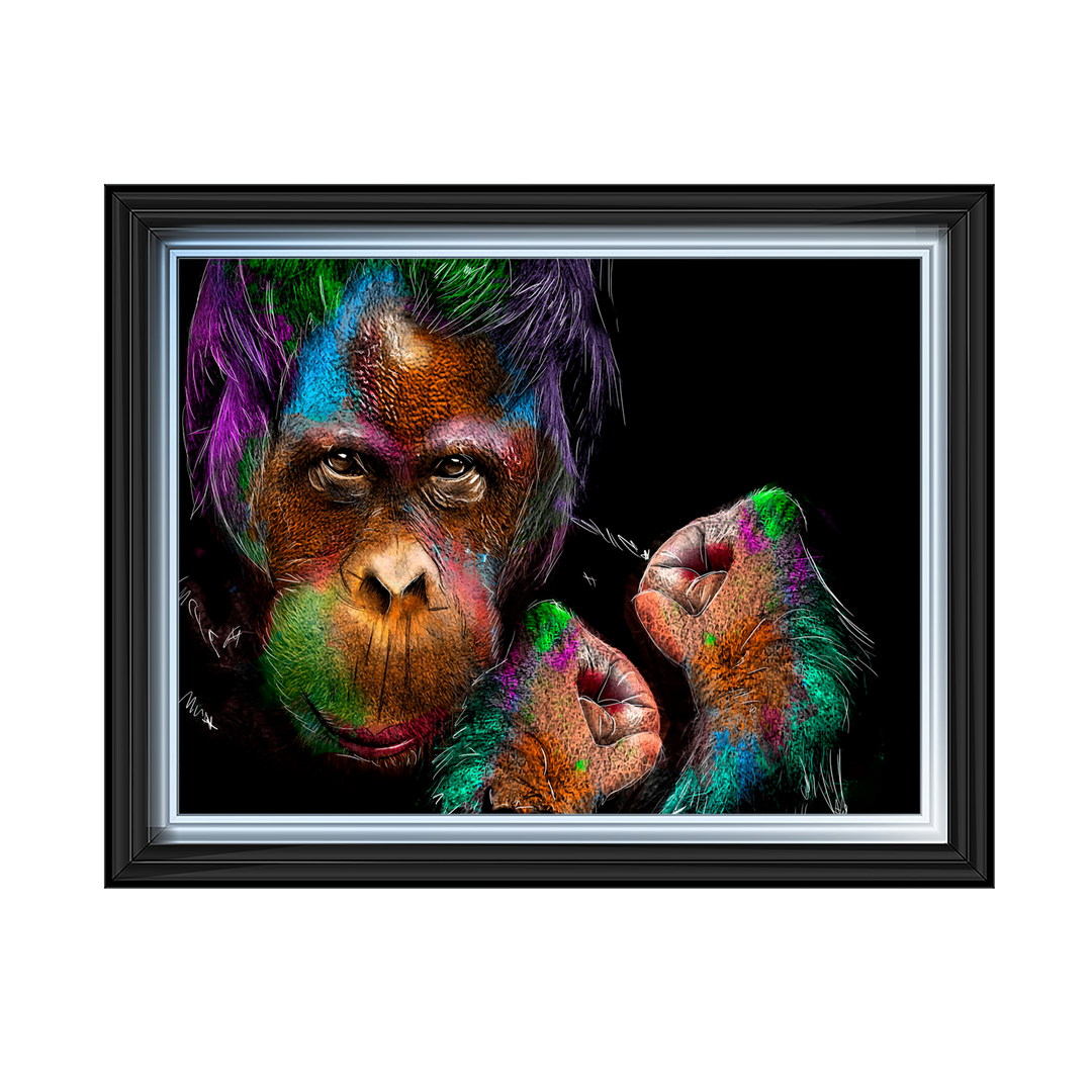 Orangutan