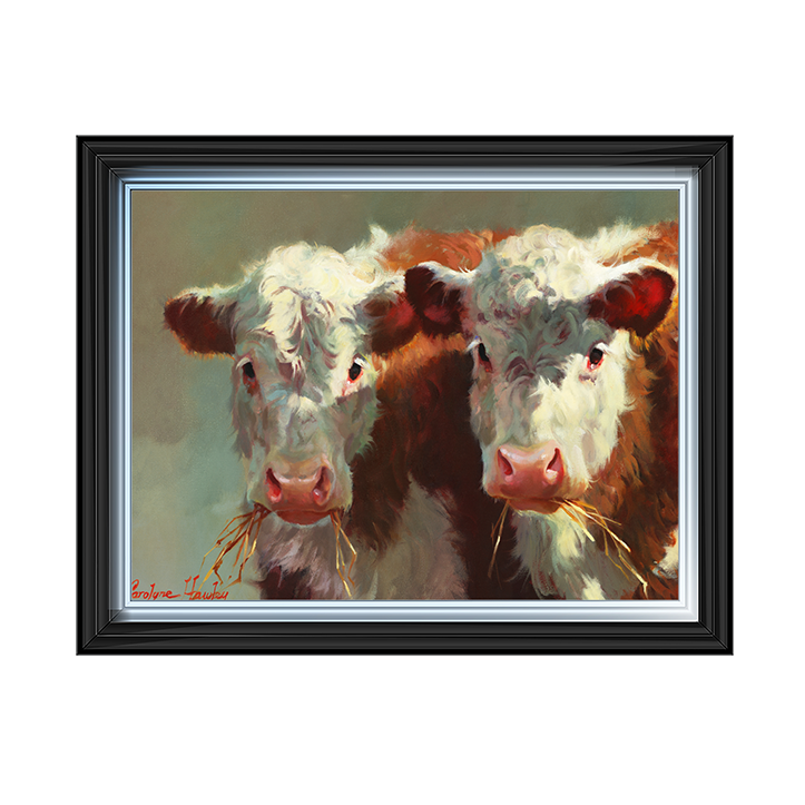 Cow Belles
