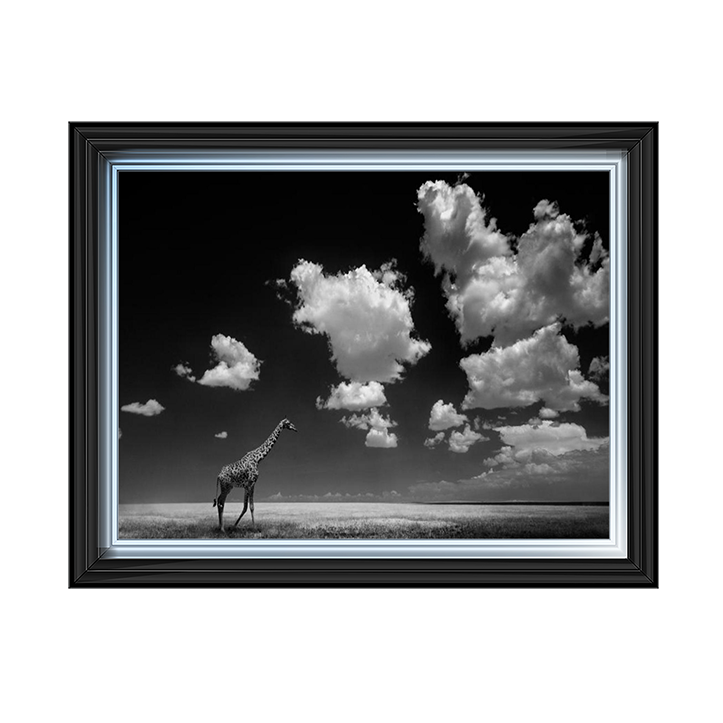 Ghizzi Panizza -Gone with the Clouds