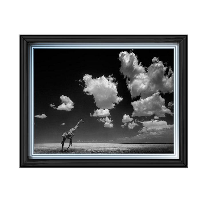 Ghizzi Panizza -Gone with the Clouds
