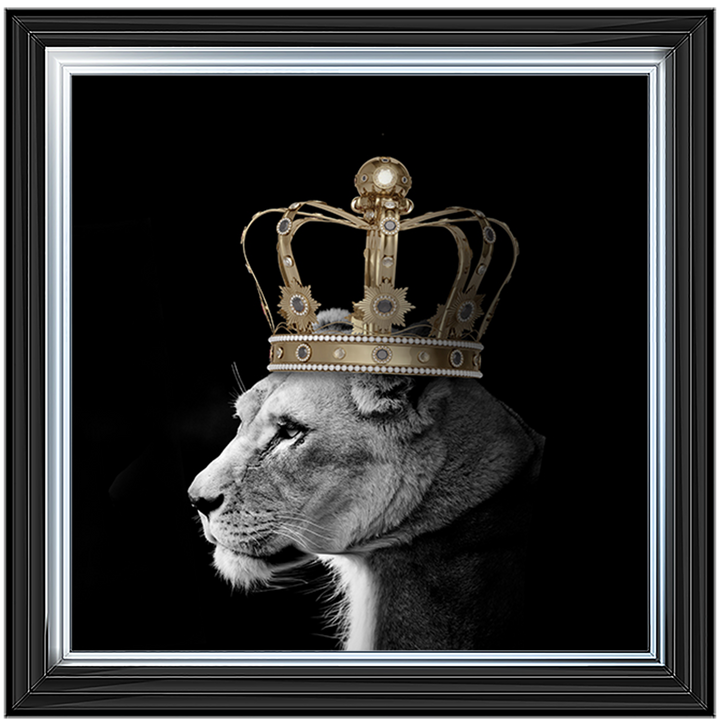 Queen Lion Gold