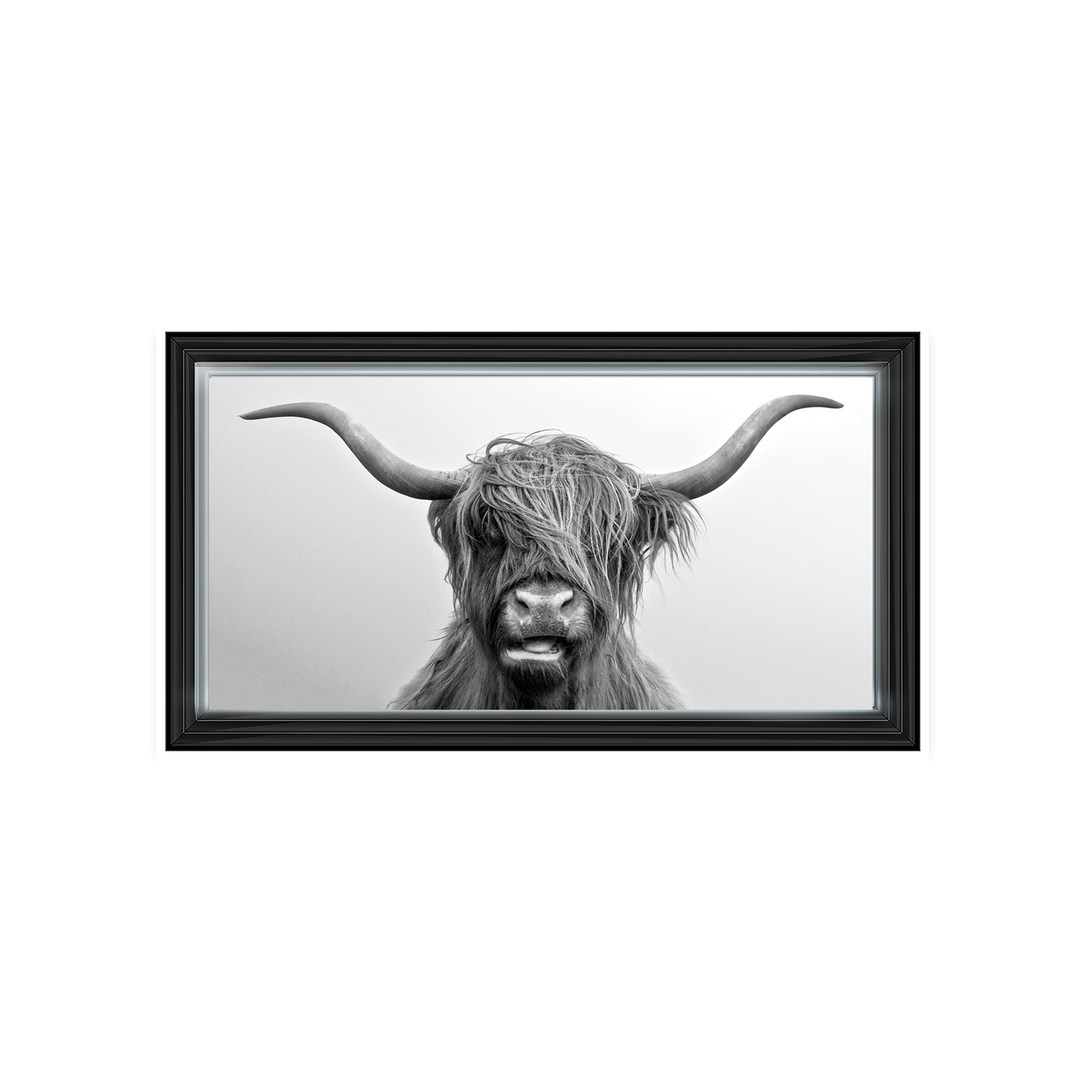 AN280 Highland Cow I
