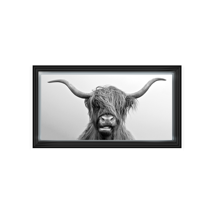 AN280 Highland Cow I