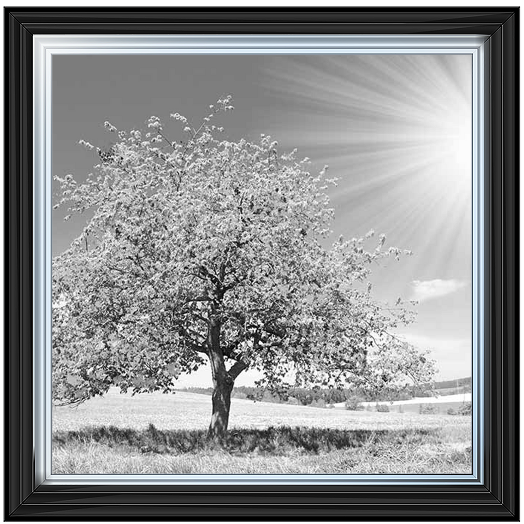 LS296 Black & White Lone Tree