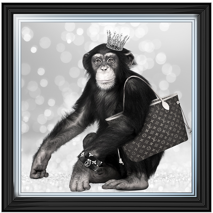 AN151 Designer Monkey