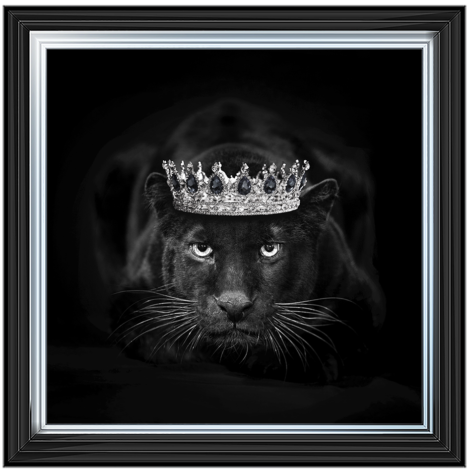 Royal Jaguar